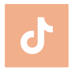 TikTok icon