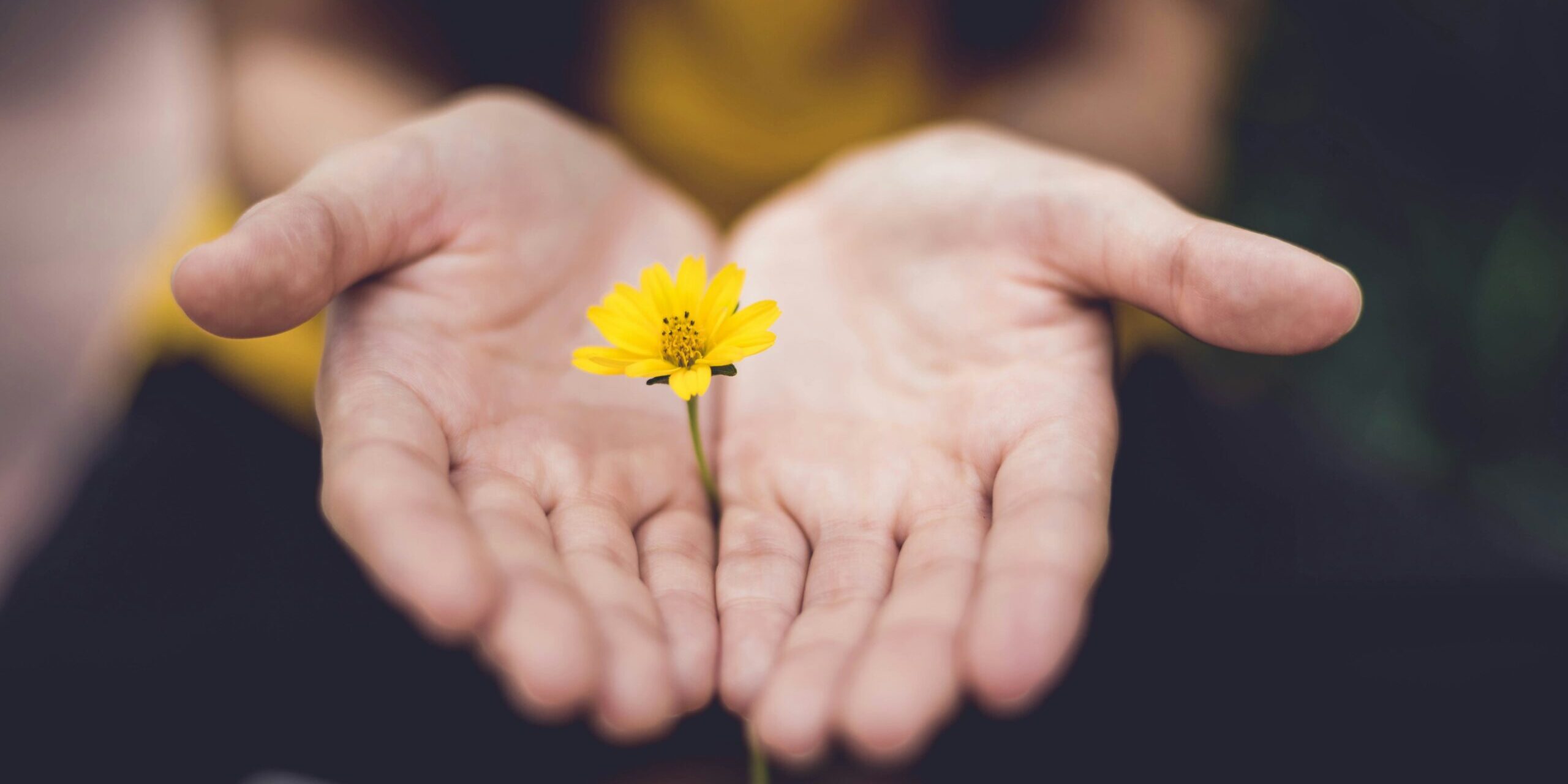 lina-trochez-ktPKyUs3Qjs-unsplash